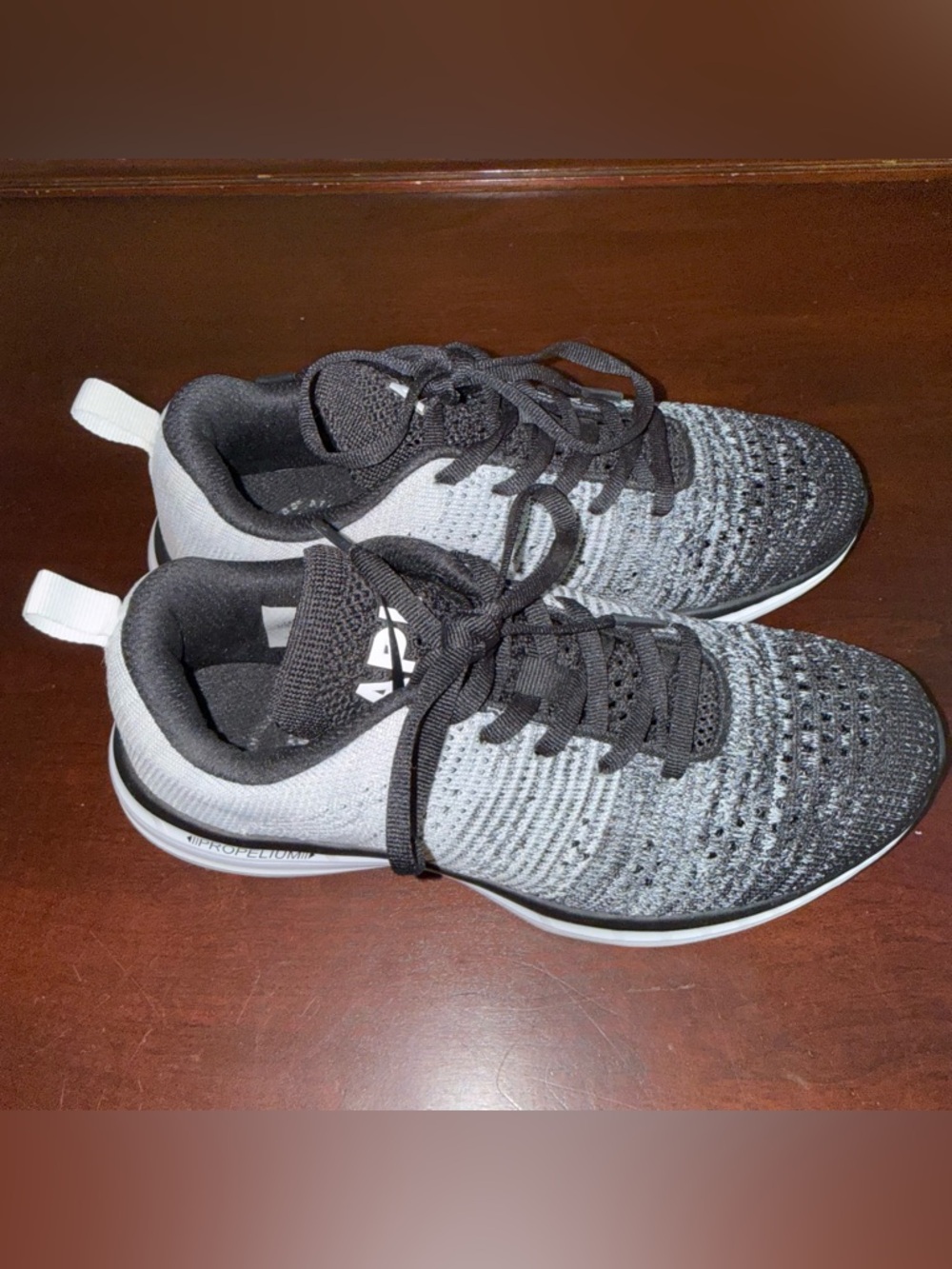 APL Techloom Pro Ombré Sneakers